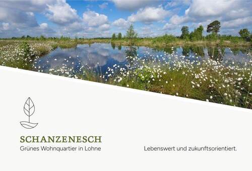 Titelbild - Grundstück in Lohne (Oldenburg) Hamberg