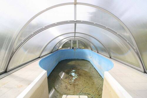 Pool - 