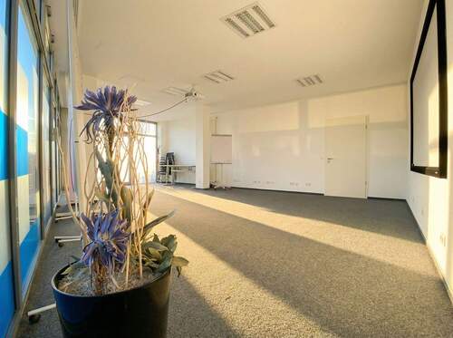 [KI-optimiertes Foto] - 