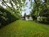 Blick vom Ufer - 