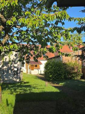 Blick zum Haus - 