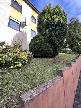 Bild 11 - 