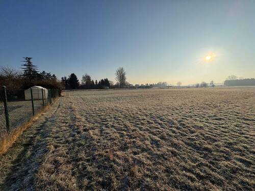 Blick vom Grundstück auf das Feld - Mehrfamilienhaus, Wohnhaus in Oranienburg zum Kaufen