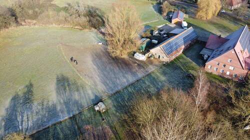 Weideland für Ihre Tieren - 2 Zimmer Mehrfamilienhaus, Wohnhaus in Kneese