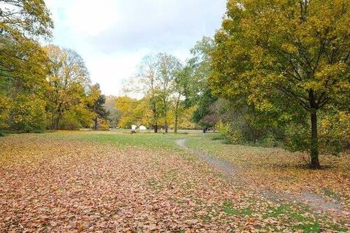 Tiergarten vis-à-vis - 