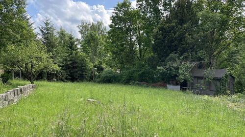 Blick auf den Bauplatz - Grundstück in Bannewitz zum Kaufen