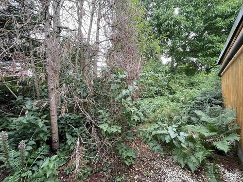Garten - 