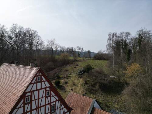 Ausgang vom Garten in die freie Natur. - 