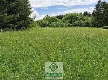 Bild 1 - Baugrundstück mit 1820 m² in Weinsfeld-Prüm