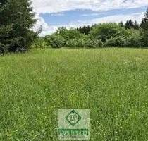 Baugrundstück mit 1820 m² in Weinsfeld-Prüm