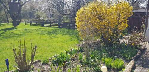 20210420_144404.jpg - 