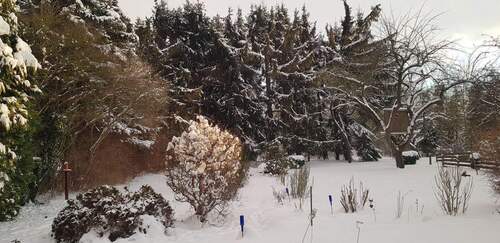 20210211_165308.jpg - 