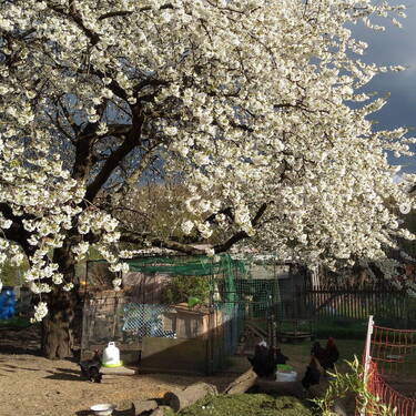 Garten - 