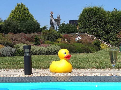 Pool und Heidegarten - 