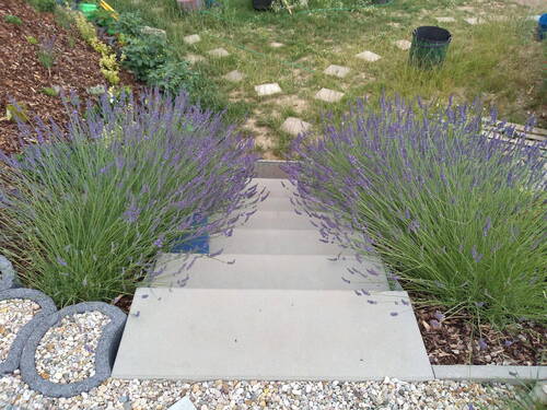 Gartentreppe - 