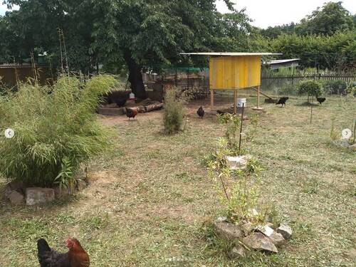 Garten - 
