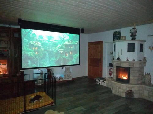 Wohnzimmer mit Heimkino - 
