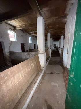 Ehemaliger Schweinestall - 