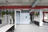 Basic Desk - 