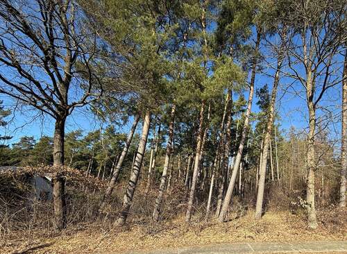 Friedrichberg - Naturnahes Waldgrundstück 'Mitten im Grünen'