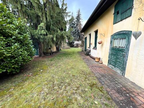 Blick in den Garten - 