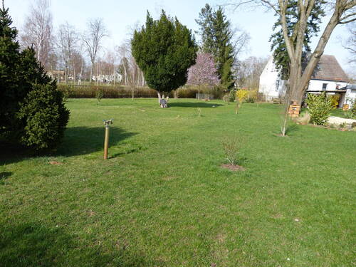 F 2 - TOP-Baugrund für Neubau - 178.000,00 EUR Kaufpreis, ca.  0,00 m²