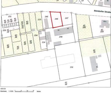 Flurkarte Flurstück 246 - Grundstück in Schkopau
