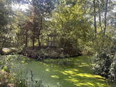 Pavillon / Teich - 