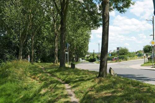 Schenkebier-Stanne - 