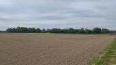 Fernsicht - 
