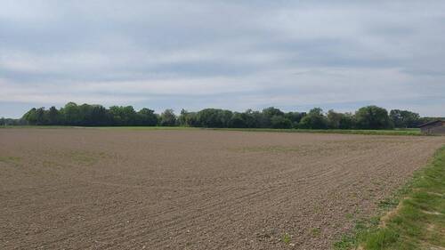 Fernsicht - 