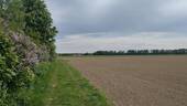 Fernsicht - 