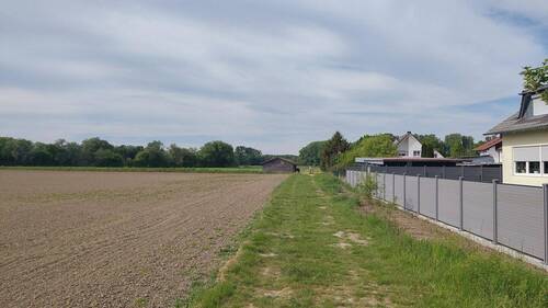 Fernsicht - 