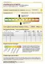 Energieausweis - 