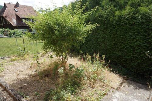 Garten - 