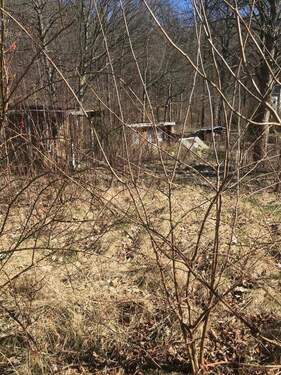 Was entsteht aus mir - Grundstück in Werdau