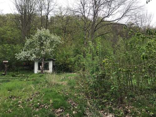 Blick im Grundstück rechts - 