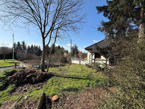 Blick zum Vorgarten - 