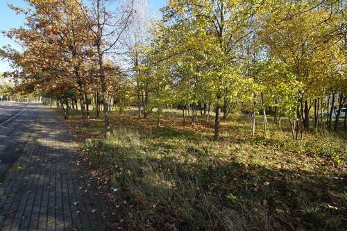 Blick auf das Grundstück - 