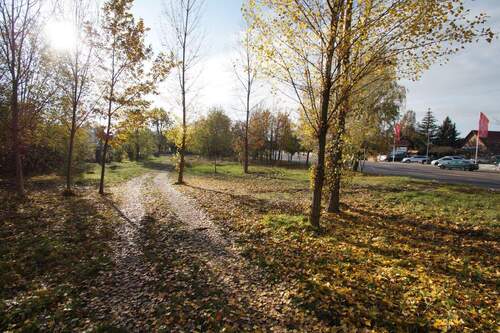 Blick auf die Straße - 