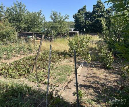 Ansicht - Grundstück zum Kaufen in Benningen am Neckar