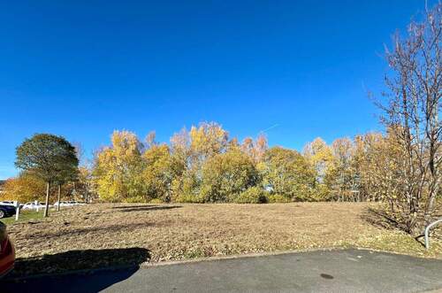 IMG_3173 - Grundstück in Ilmenau