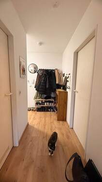 Flur - 2 Zimmer Einfamilienhaus in Dresden