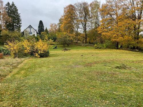 Bild 4 - Grundstück in Schellhorn zum Kaufen
