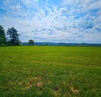 Rarität in fast Alleinlage hoch über dem Siegtal! Nur ca. 6 km bis Eitorf.
