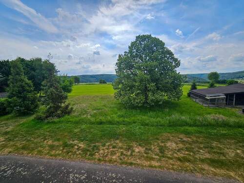 Wiesenfläche - Einfamilienhaus mit 165,00 m&sup2; in Eitorf zum Kaufen
