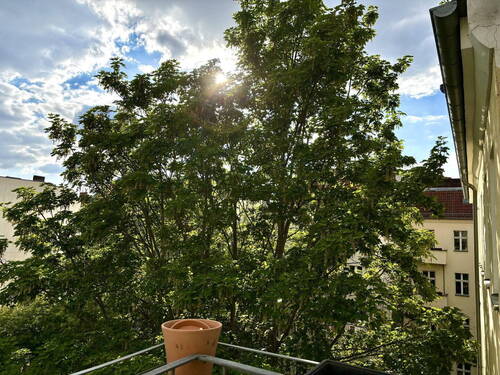 Bild 14 - 