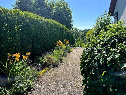 Zugang zum Wohnhaus - 7 Zimmer Einfamilienhaus in Dillenburg