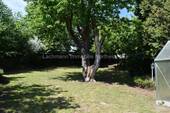Garten hinterer Teil - 