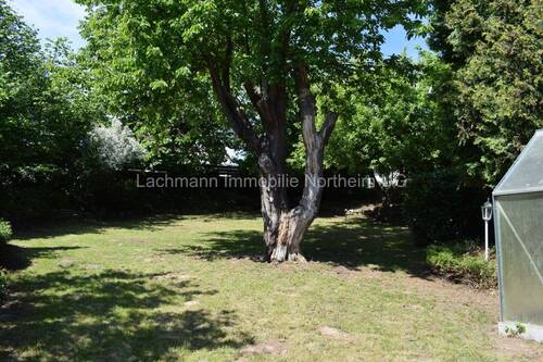 Garten hinterer Teil - 